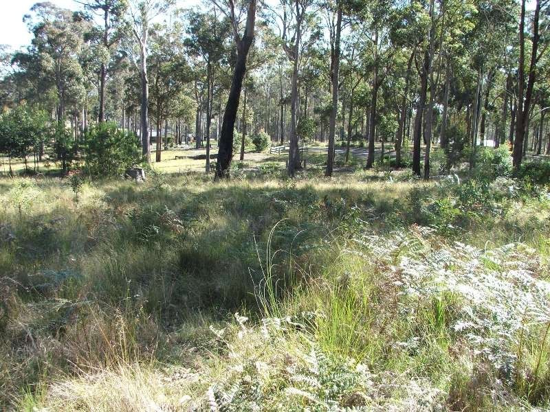 Bergalia NSW 2537