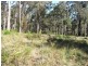 Bergalia NSW 2537