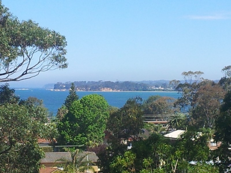 Surfside NSW 2536