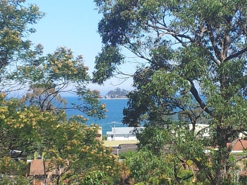 Surfside NSW 2536