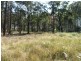 Bergalia NSW 2537