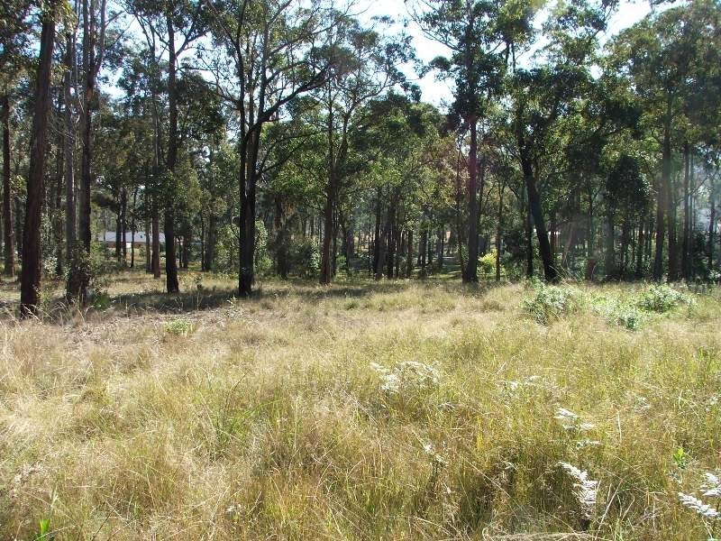 Bergalia NSW 2537