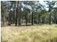 Bergalia NSW 2537