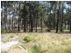 Bergalia NSW 2537