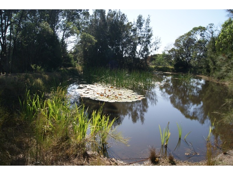 Moruya NSW 2537