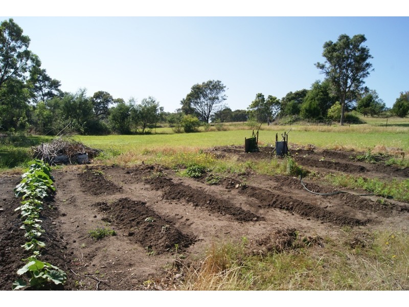 Moruya NSW 2537
