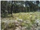 Bergalia NSW 2537
