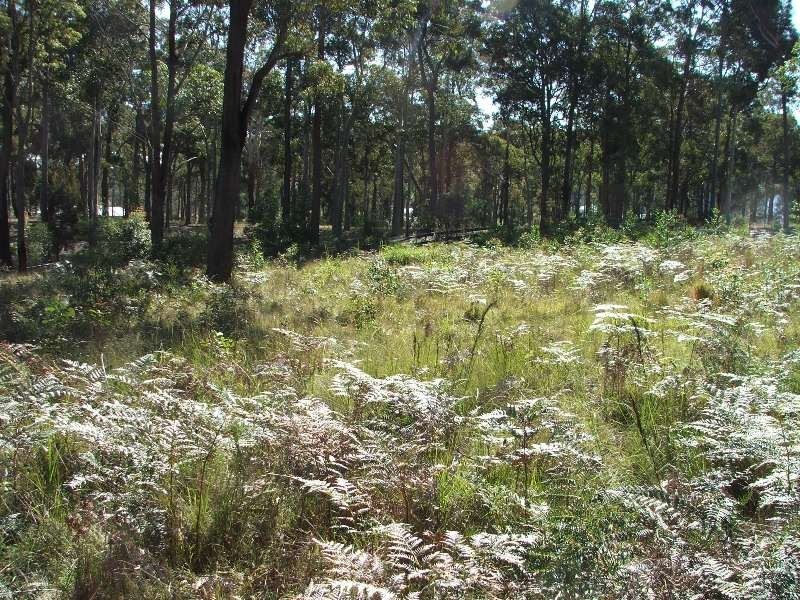 Bergalia NSW 2537