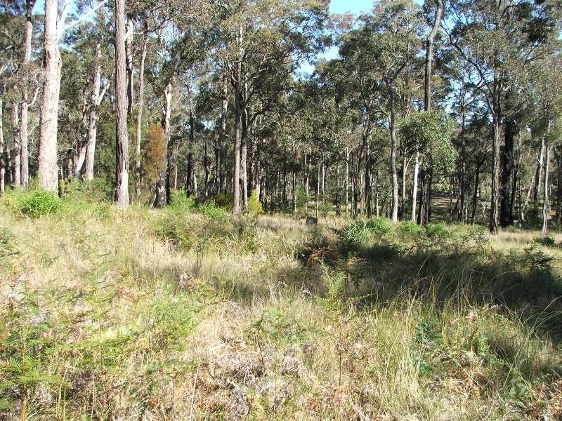 Bergalia NSW 2537