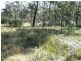 Bergalia NSW 2537