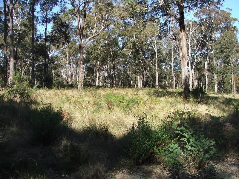 Bergalia NSW 2537