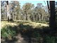 Bergalia NSW 2537