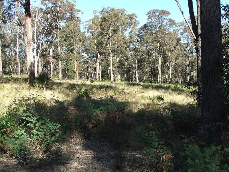Bergalia NSW 2537