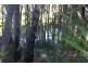 Batemans Bay NSW 2536