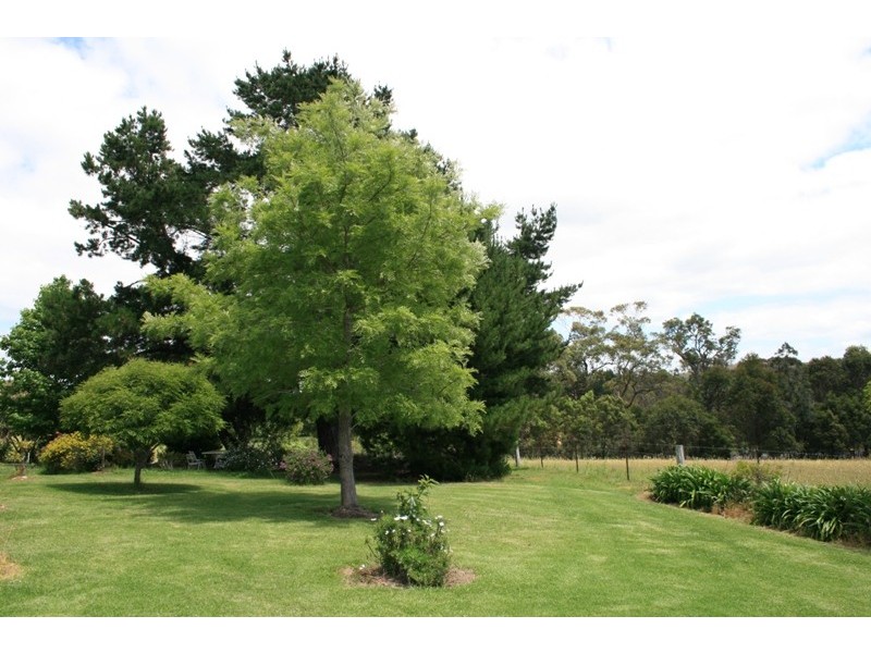 Coila NSW 2537