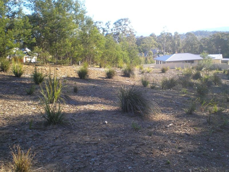 Long Beach NSW 2536