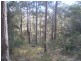 Rosedale NSW 2536