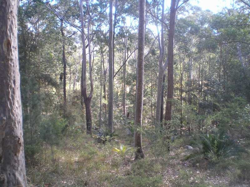 Rosedale NSW 2536