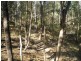 Rosedale NSW 2536