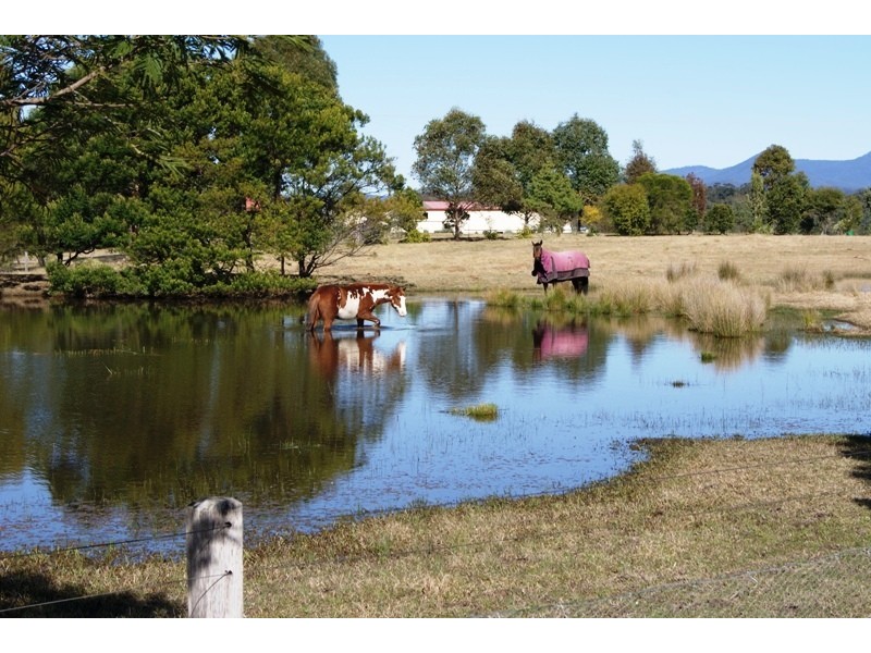 Moruya NSW 2537