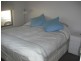 Bega NSW 2550
