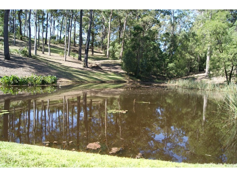 Bimbimbie NSW 2536