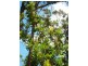 Broulee NSW 2537