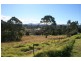 Moruya NSW 2537