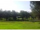 Moruya NSW 2537