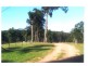 Nelligen NSW 2536
