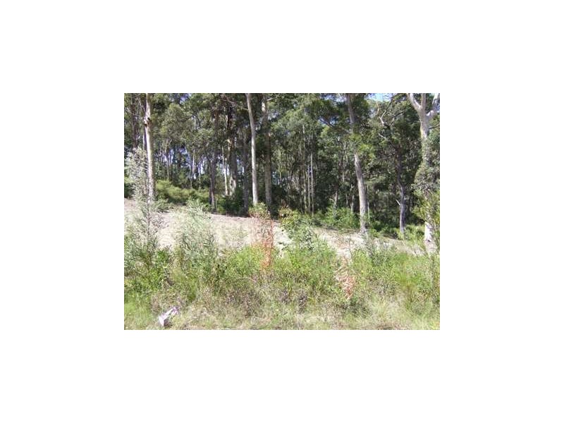 Lilli Pilli NSW 2536