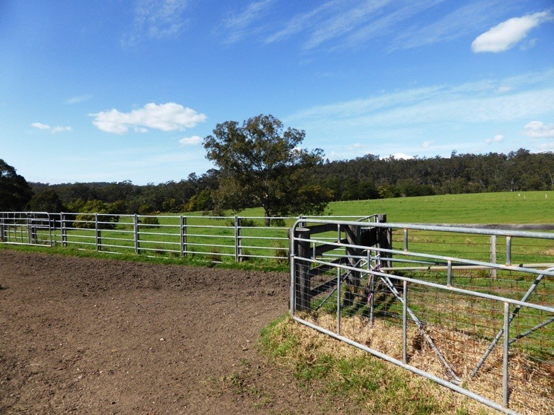 Currowan NSW 2536