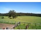 Currowan NSW 2536