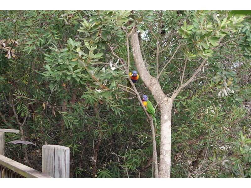 Batemans Bay NSW 2536