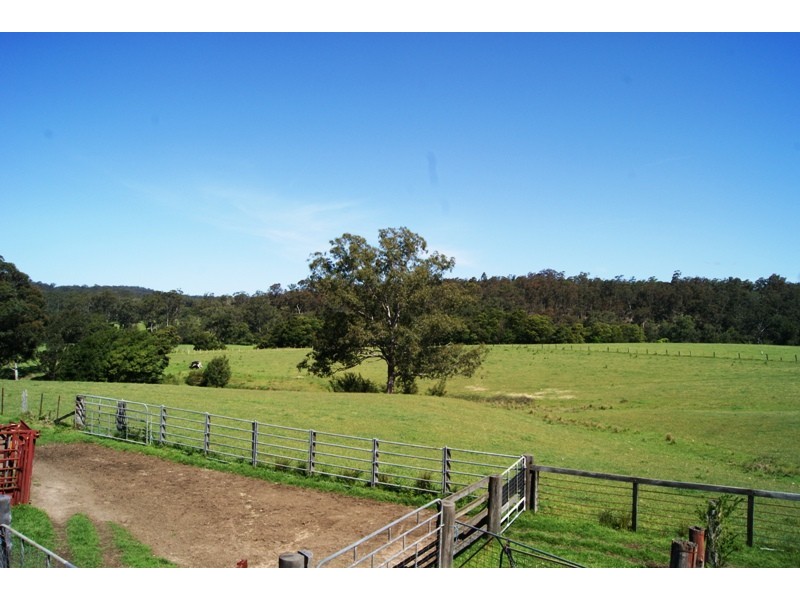 Currowan NSW 2536