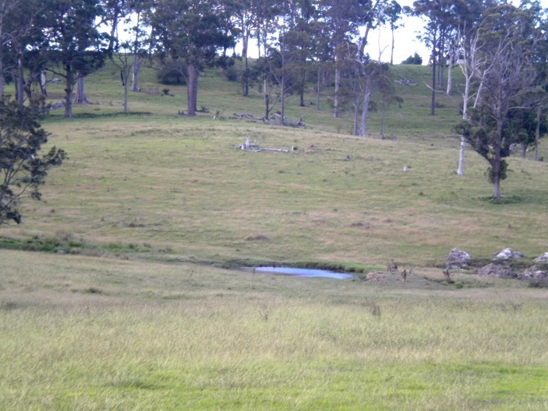 Bodalla NSW 2545