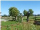 Moruya NSW 2537