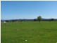 Moruya NSW 2537