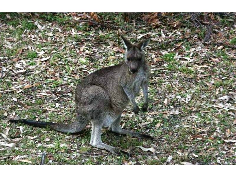 Batemans Bay NSW 2536