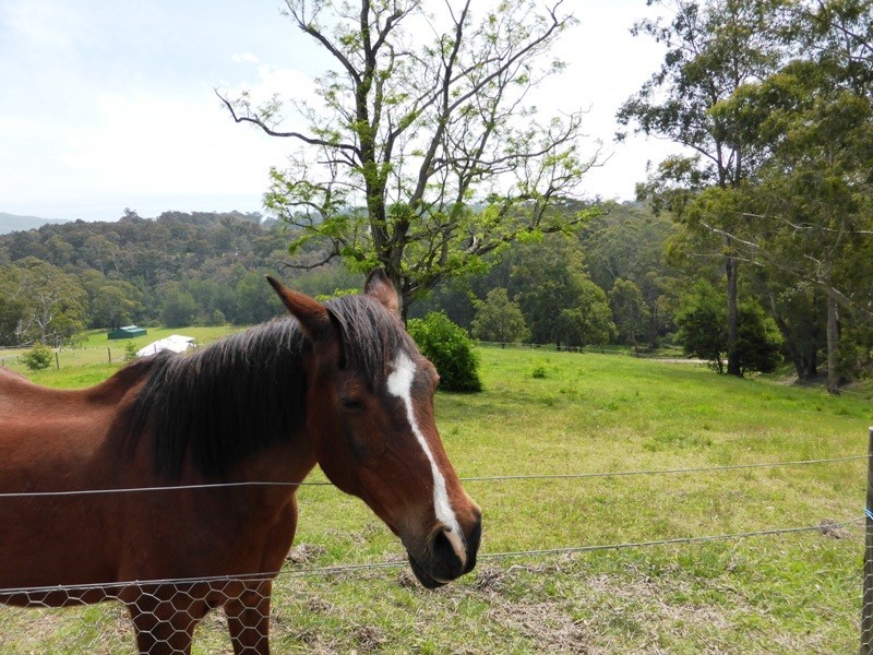 Batemans Bay NSW 2536