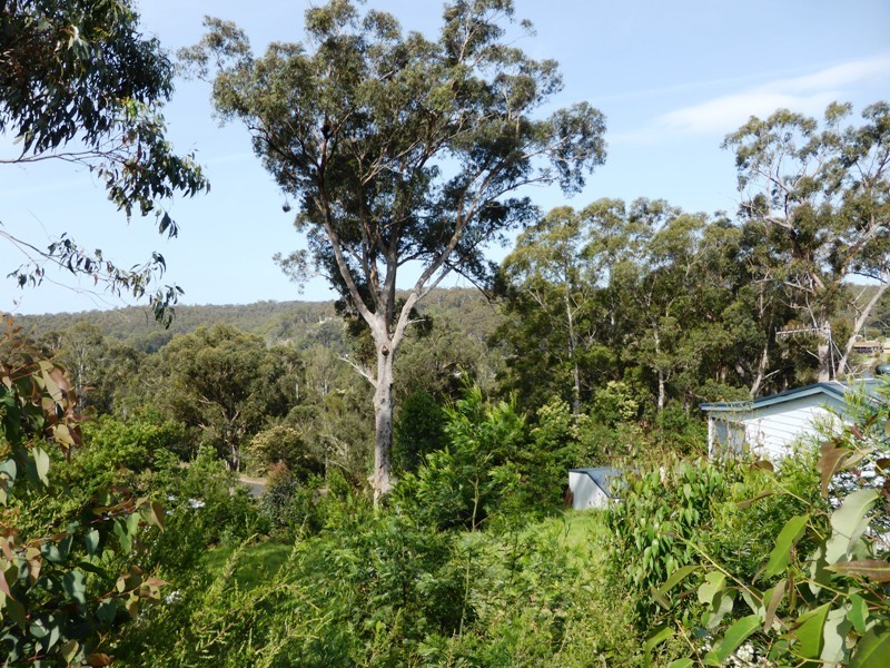 Nelligen NSW 2536