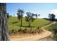 Maloneys Beach NSW 2536