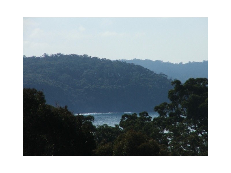 Catalina NSW 2536