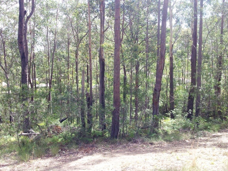 Batemans Bay NSW 2536