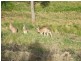 Long Beach NSW 2536