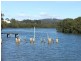Batemans Bay NSW 2536