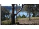 Bega NSW 2550