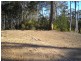 Long Beach NSW 2536