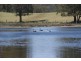Batemans Bay NSW 2536