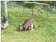 Batemans Bay NSW 2536